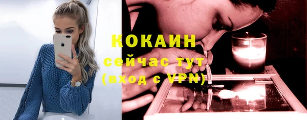 трава Лагань