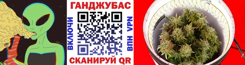 Бошки марихуана сатива  Купить где  Покров 